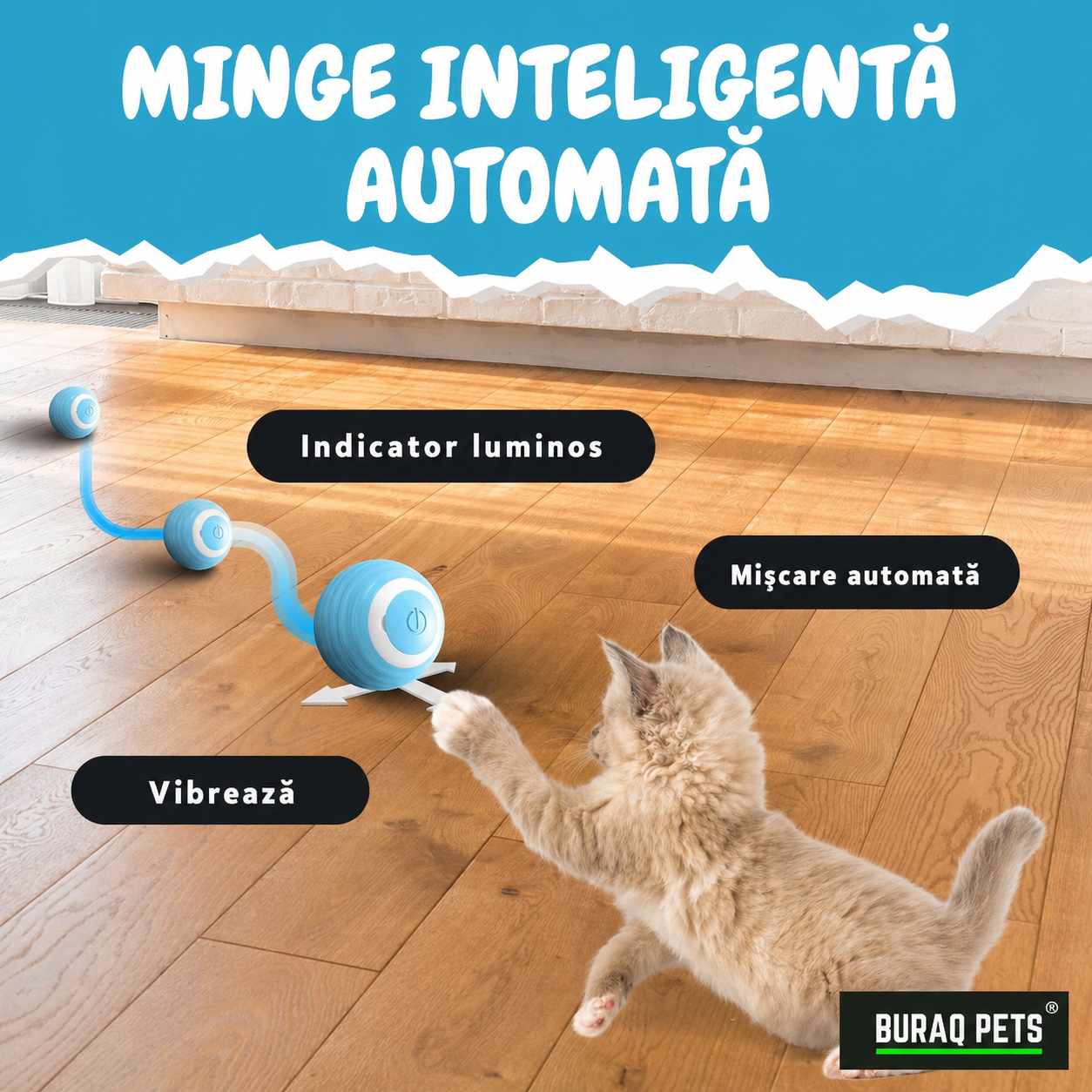 Minge interactivă pentru pisici